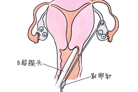 http://taiyuan.huochezhan.net/post/205.html|太原供卵助孕