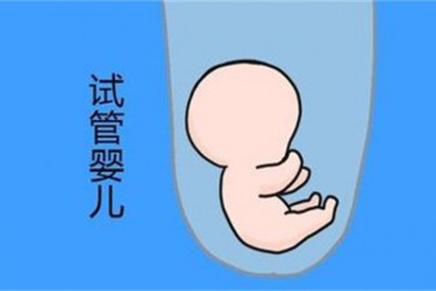 培养太原捐卵宝宝艺术细胞的小技巧
