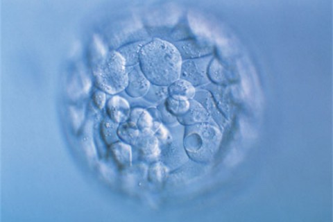 http://taiyuan.huochezhan.net/post/200.html|太原新闻中心